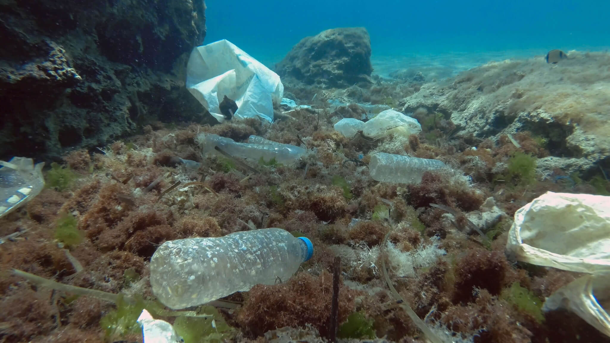 The Future Of Plastics: A New Global Treaty? - Center For Climate And ...