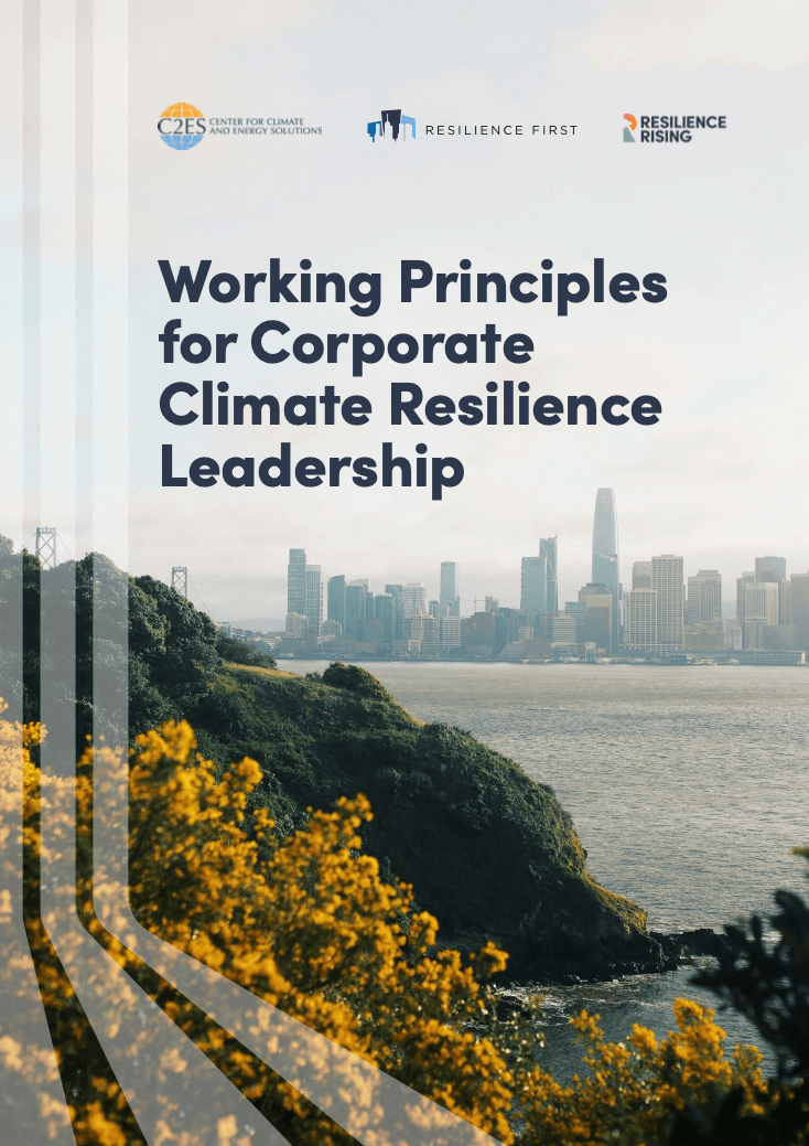 Working Principles for Corporate Climate Resilience Leadership - Center ...